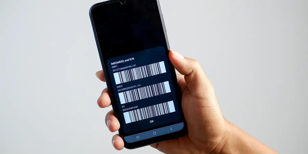 Dettagli del telefono: due codici IMEI e il numero di serie visualizzati sullo schermo.