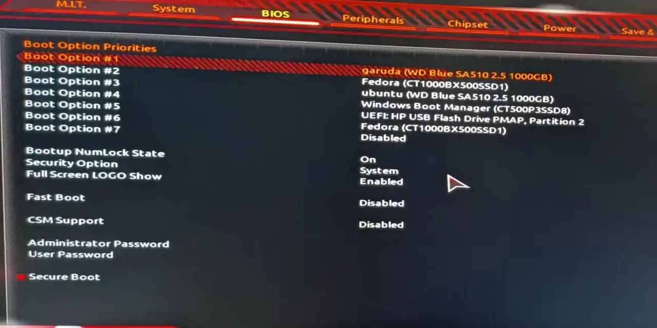 Schermata del BIOS per impostare l'ordine di avvio. Per capire come entrare nel BIOS, cerca le opzioni di avvio e seleziona il dispositivo desiderato.