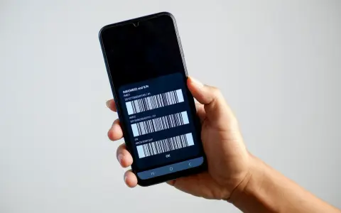 Dettagli del telefono: due codici IMEI e il numero di serie visualizzati sullo schermo.