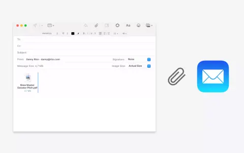 Interfaccia email con allegato PDF. L'opzione "Image Size: Actual Size" suggerisce la possibilità di cambiare estensione file o le sue dimensioni.