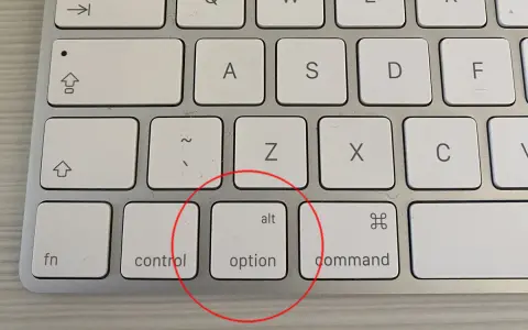 Tasto Option (o Alt) su tastiera Mac, evidenziato in rosso. Utile per scorciatoie.
