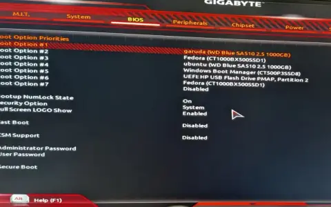 Schermata del BIOS per impostare l'ordine di avvio. Per capire come entrare nel BIOS, cerca le opzioni di avvio e seleziona il dispositivo desiderato.