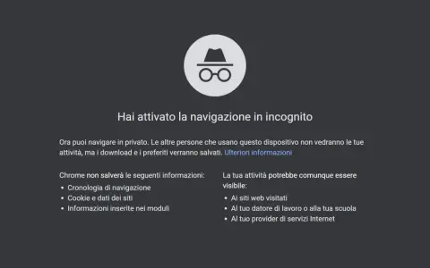 Icona di navigazione in incognito da cellulare. Ora puoi navigare in privato, ma i download e i preferiti verranno salvati.