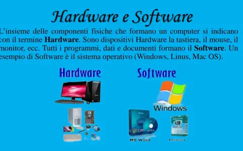 Hardware e Software: il primo è l'insieme delle componenti fisiche, il secondo i programmi. Esempi di Software: Windows, MS Word, Antivirus.