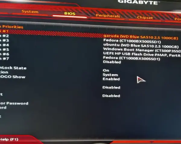 Schermata del BIOS per impostare l'ordine di avvio. Per capire come entrare nel BIOS, cerca le opzioni di avvio e seleziona il dispositivo desiderato.