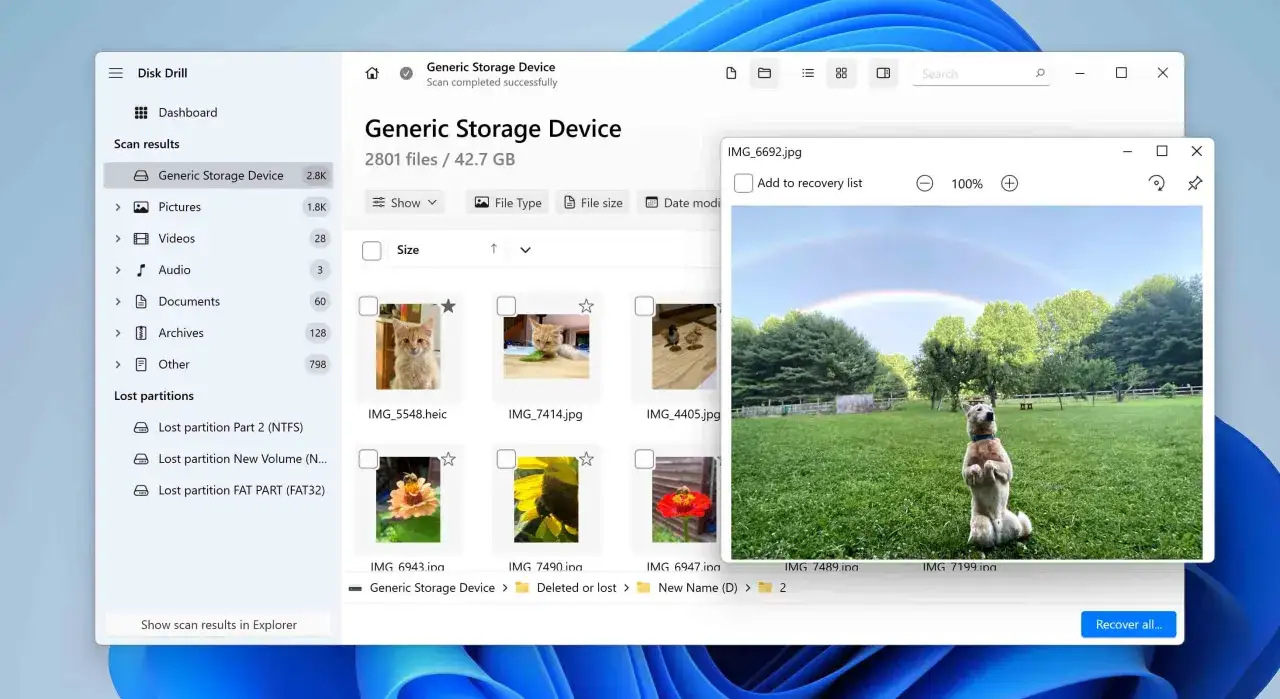 Interfaccia di Disk Drill che mostra i risultati della scansione per recuperare file cancellati. Un cane in piedi in un prato con un arcobaleno sullo sfondo.