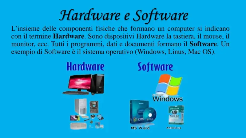 Hardware e Software: il primo è l'insieme delle componenti fisiche, il secondo i programmi. Esempi di Software: Windows, MS Word, Antivirus.